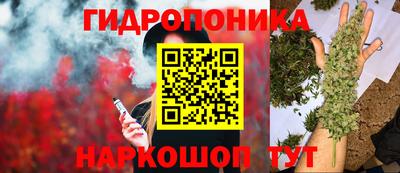ешки Гагарин