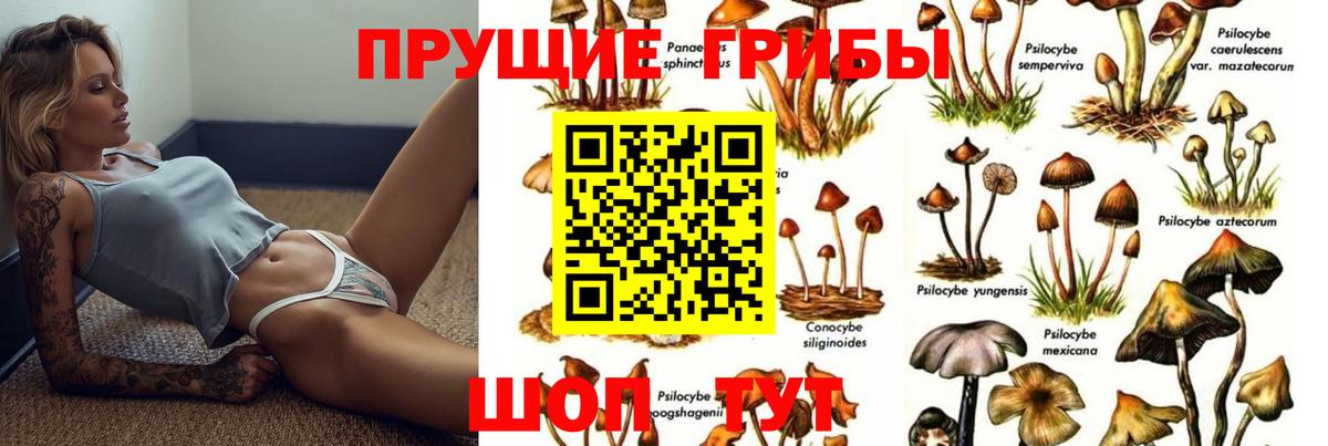 Галлюциногенные грибы Cubensis Черногорск